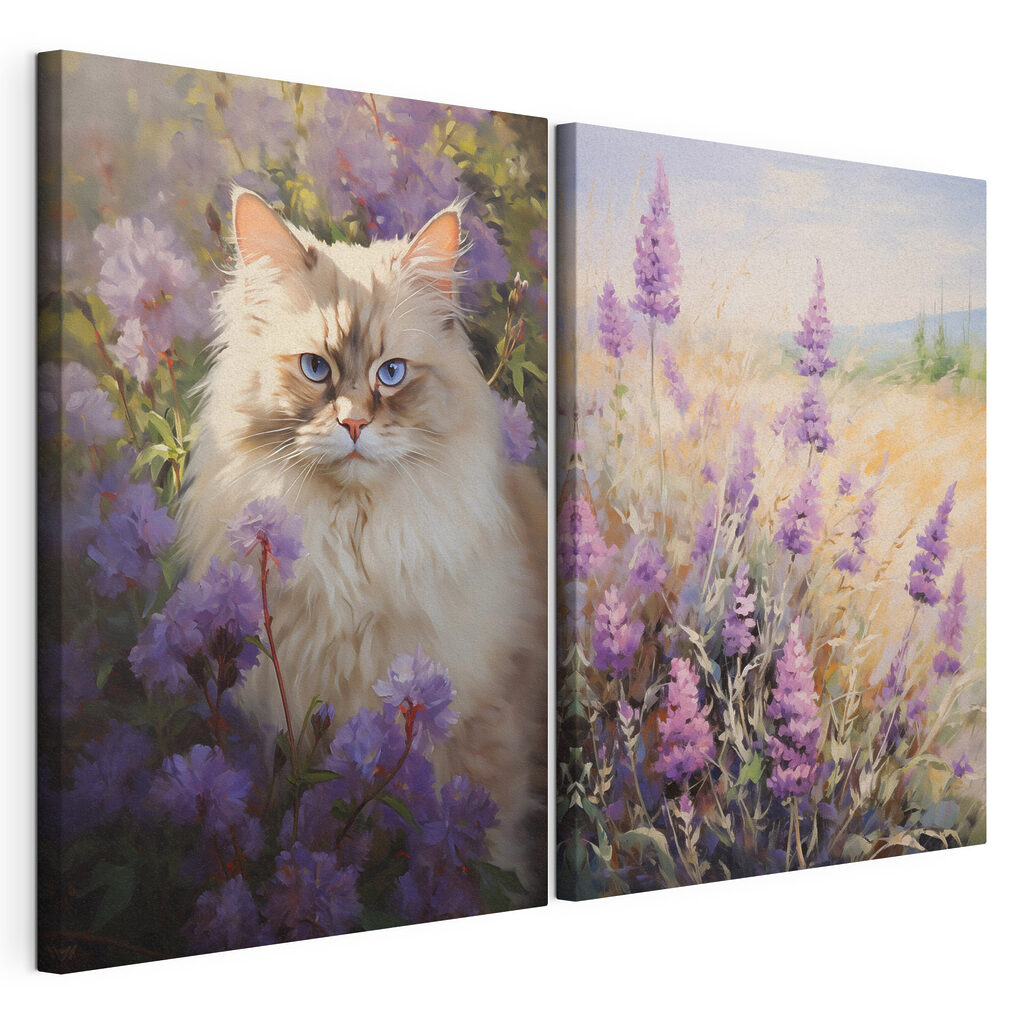 Kat in een bloemenveld — productweergave