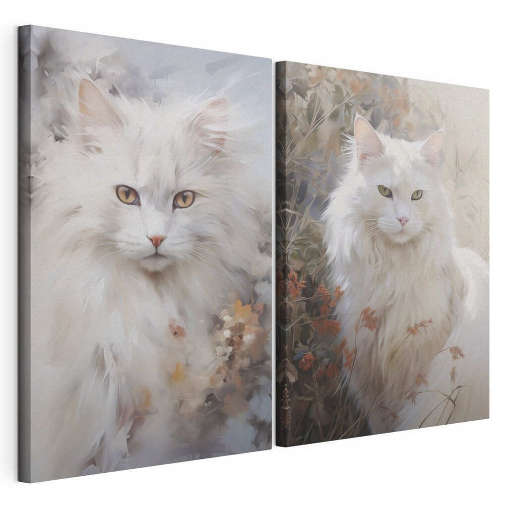 Witte kat met gele ogen — productweergave