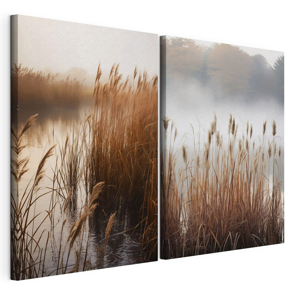 Meer met hoog gras — productweergave