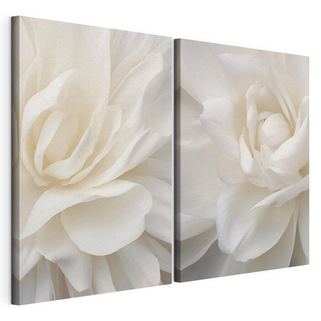 - Elegante bloemblaadjes in zachte witte tinten — productweergave