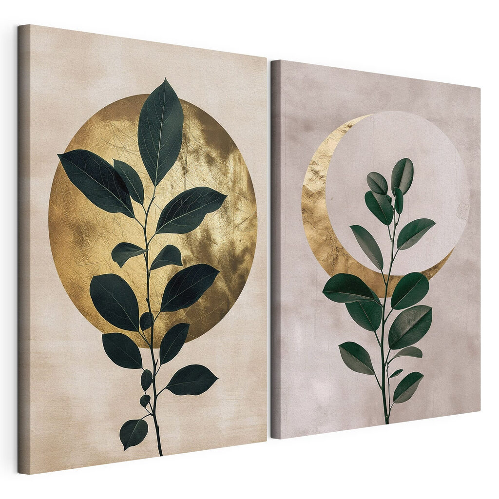 Twee foto's van een plant — productweergave