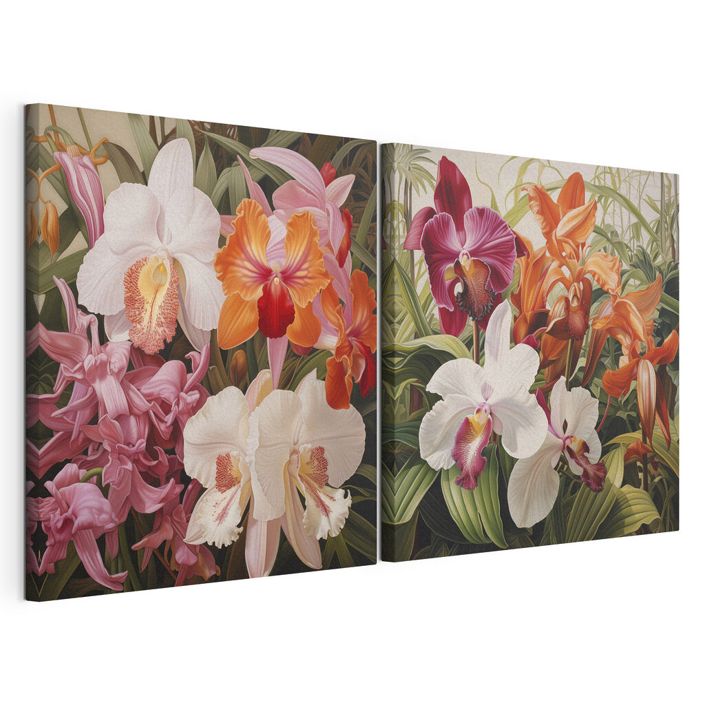 Kleurrijke orchideeën in een spetterende opstelling — productweergave