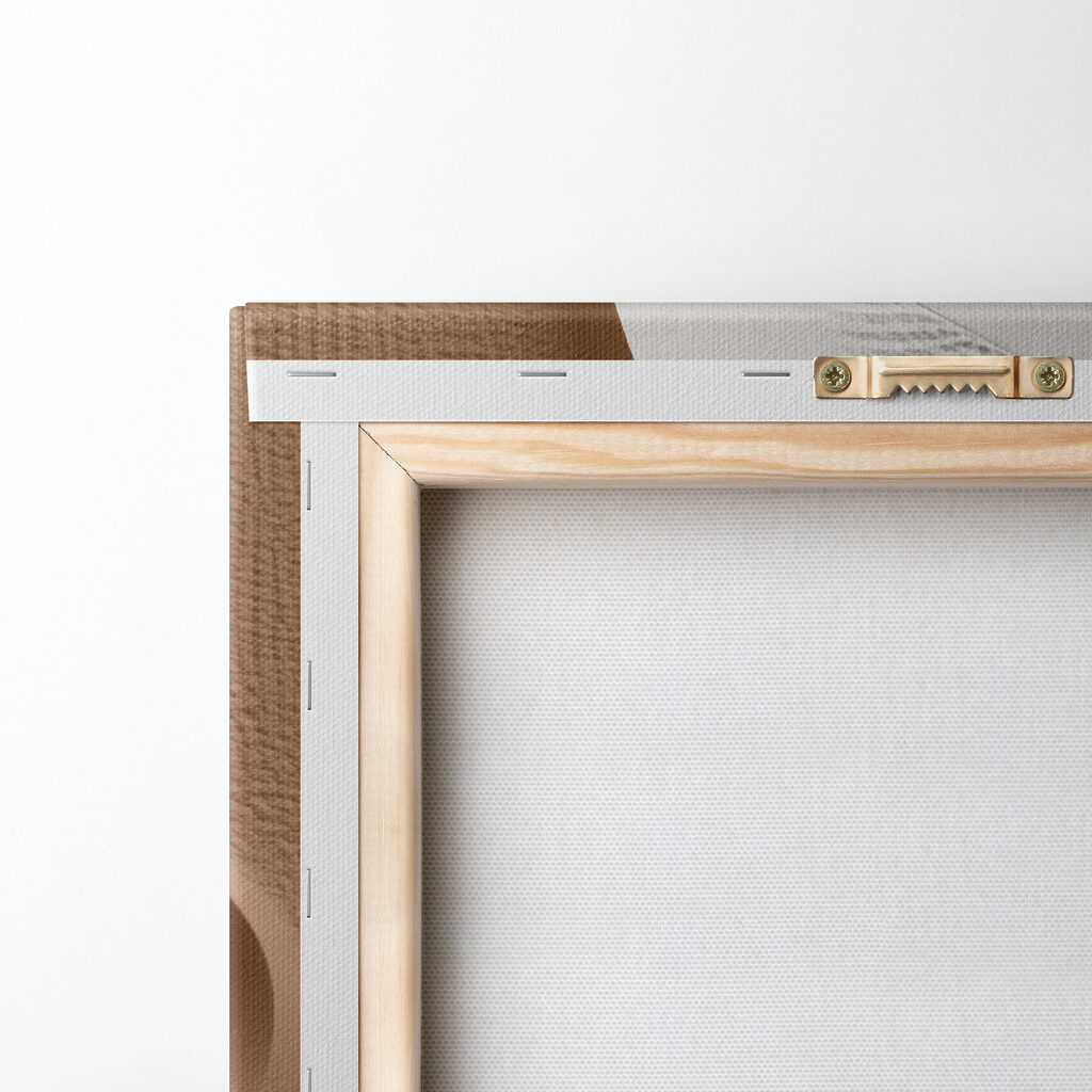 Elegante rondingen in contrasterende tinten — achterkant