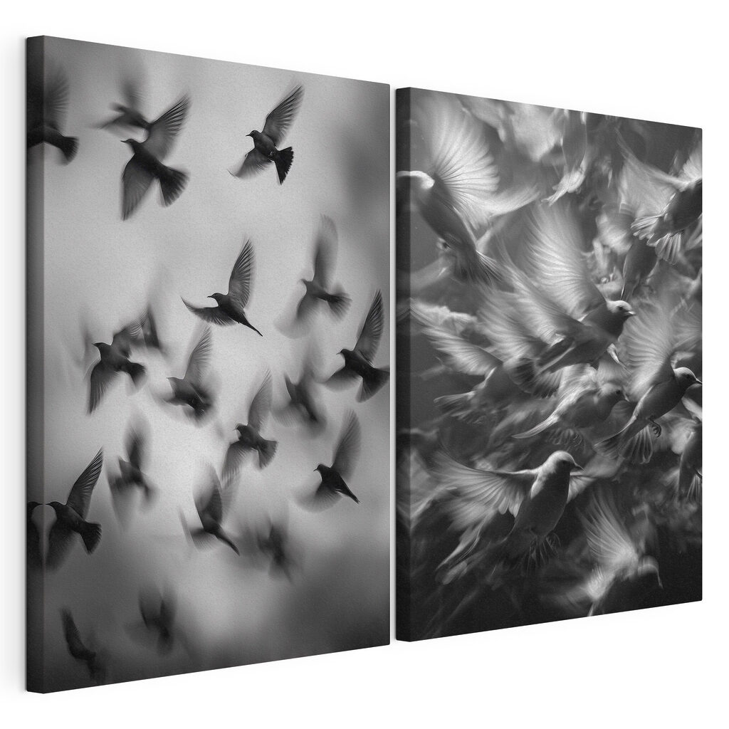 Collage van vliegende vogels — productweergave