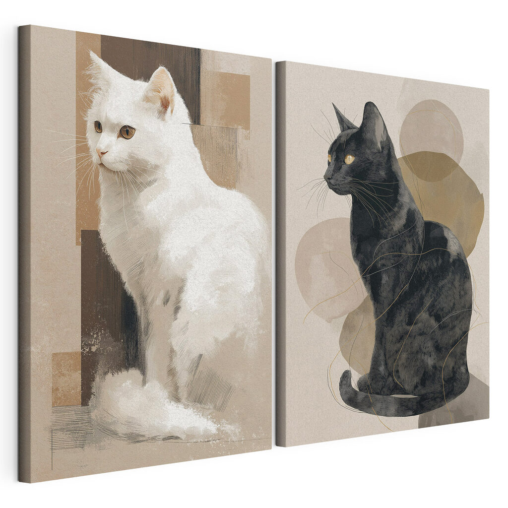 Witte kat en zwarte kat — productweergave