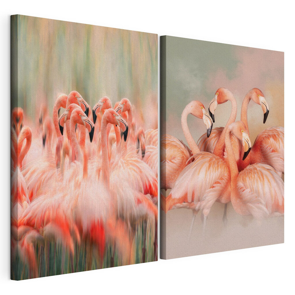 Een groep flamingo's die bij elkaar staan, gespannen canvas met doorlopende rand