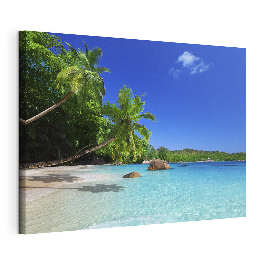 Een baai onder palmen, gespannen canvas met doorlopende rand