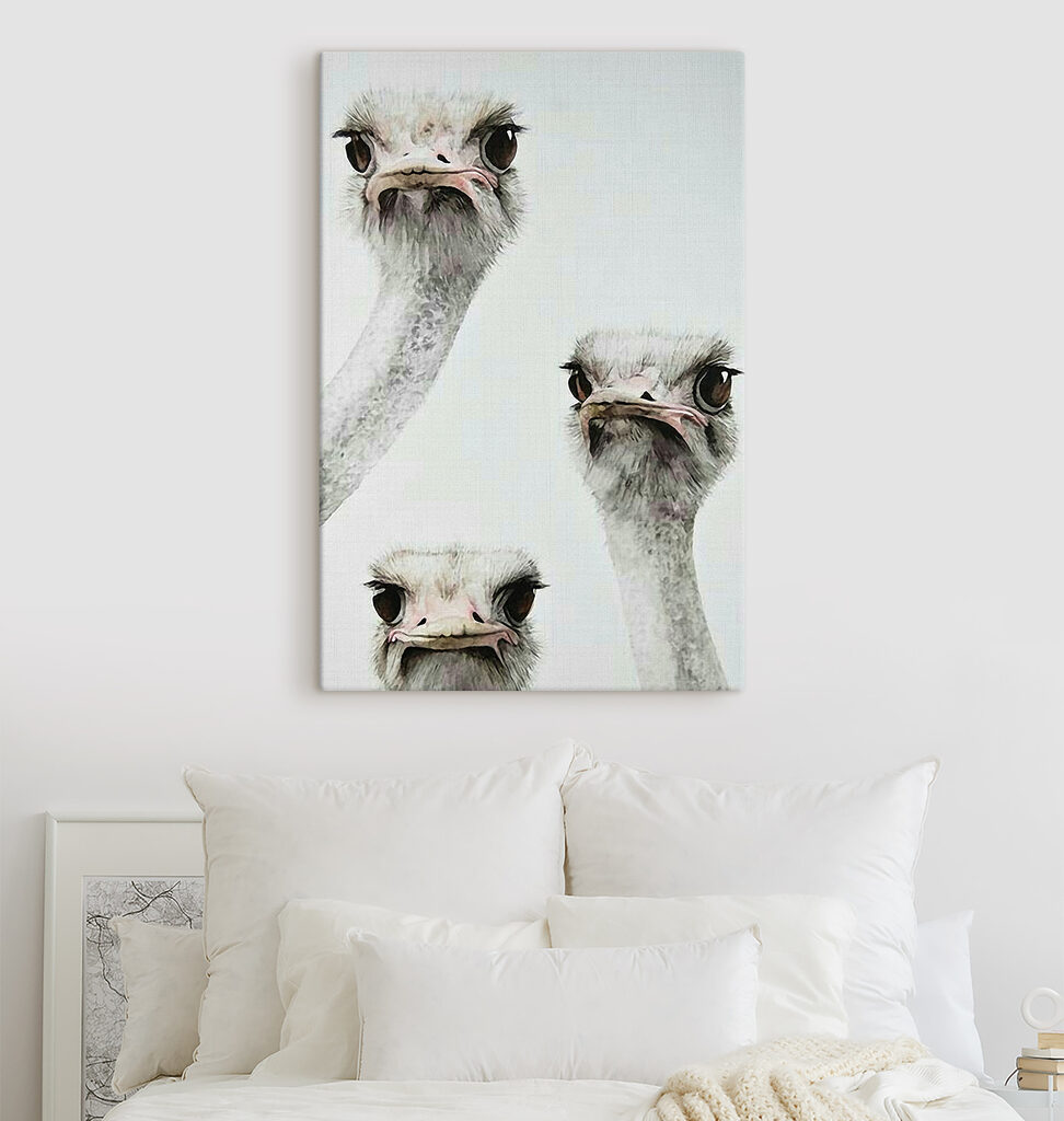 Drie nieuwsgierige struisvogels — interieur 2
