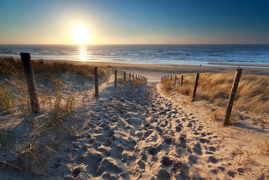 Zon achter het duinpad — volledig ontwerp