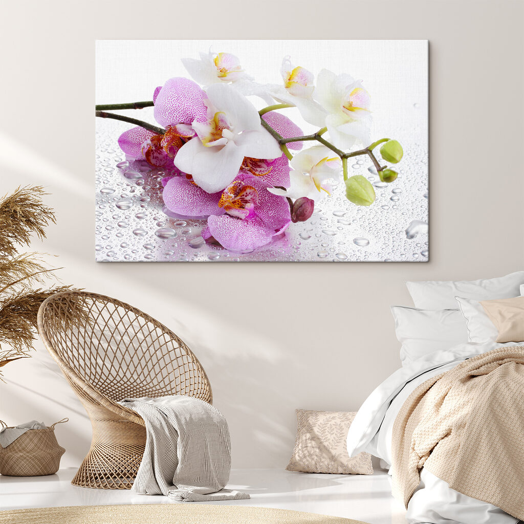 Orchideeën met dauwdruppels — interieur 4