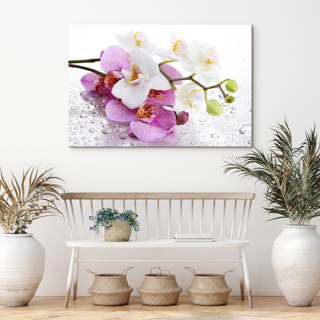 Orchideeën met dauwdruppels — interieur 5