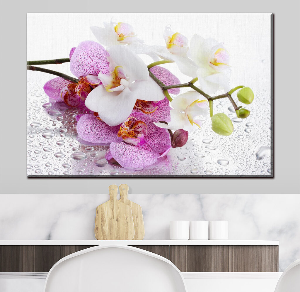 Orchideeën met dauwdruppels — interieur 1
