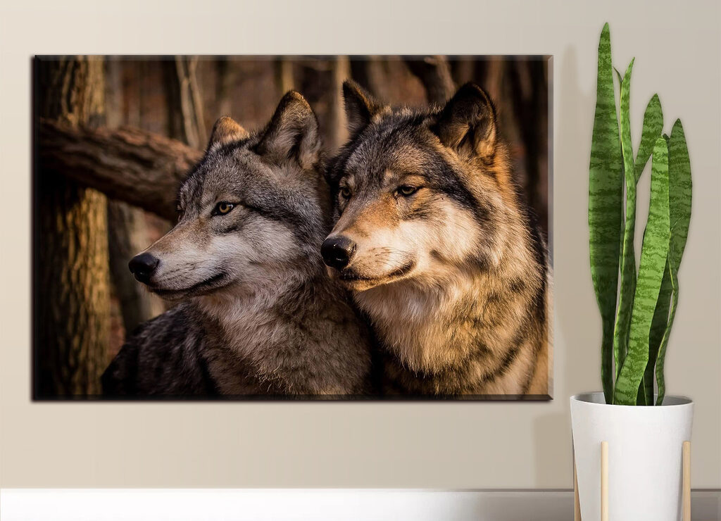 Wolven in zacht boslicht — interieur 1