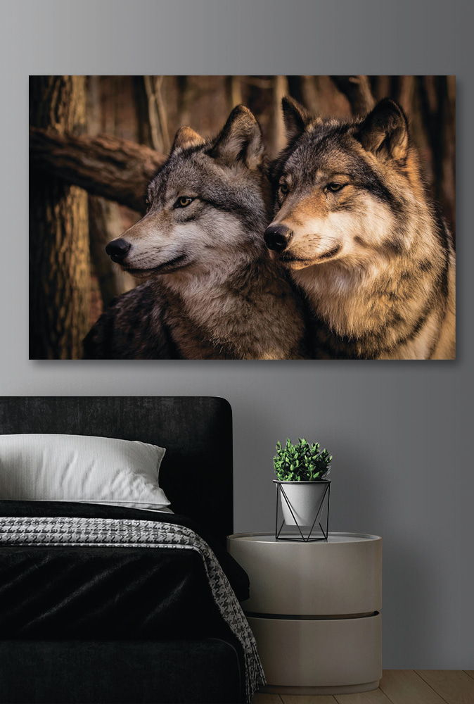 Wolven in zacht boslicht — interieur 2
