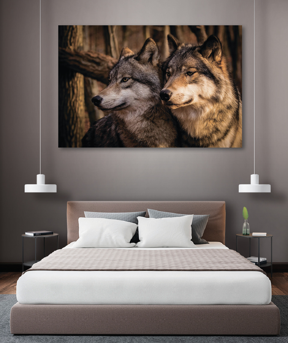 Wolven in zacht boslicht — interieur 3