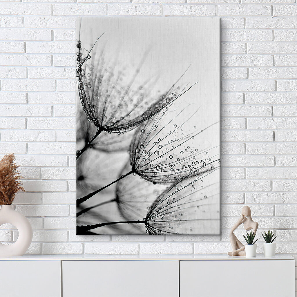 Dauw op zaadpluis — interieur 4