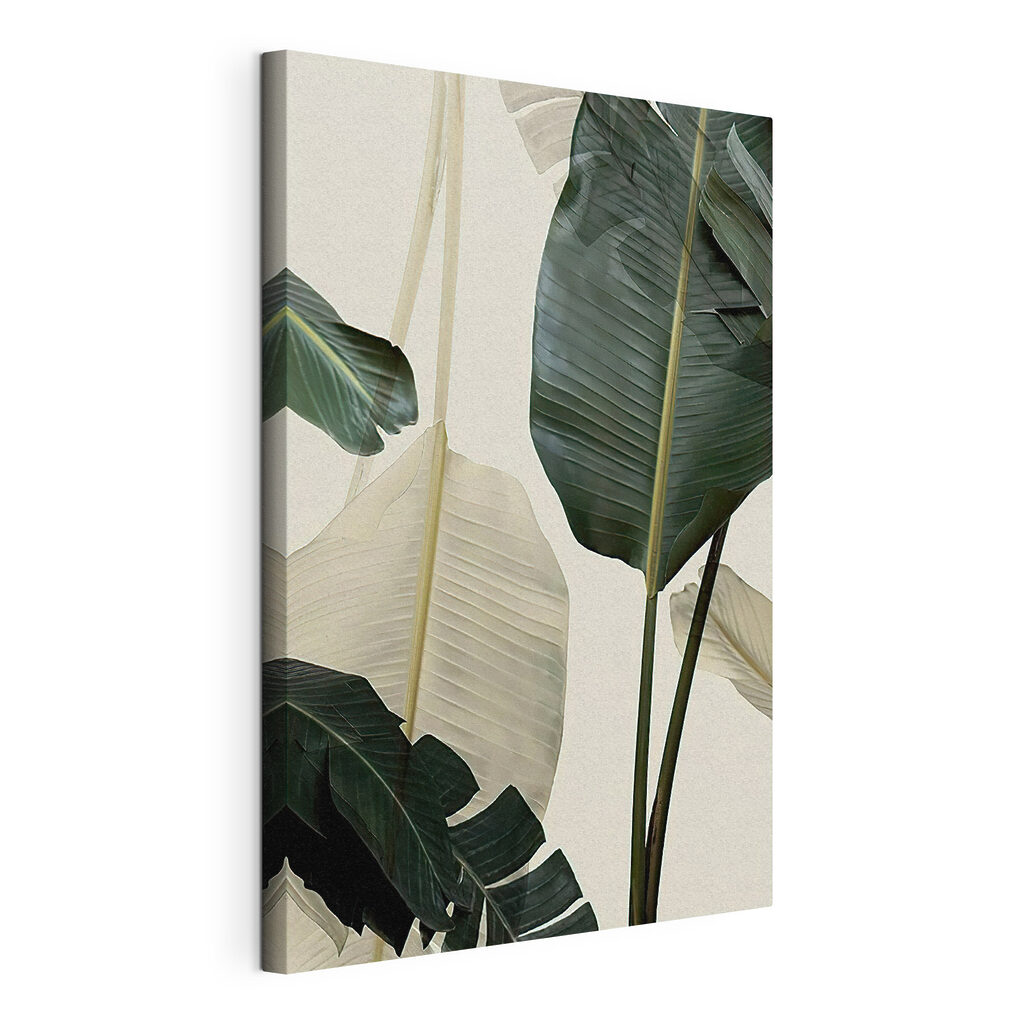 Bananenblad in zacht contrast — productweergave