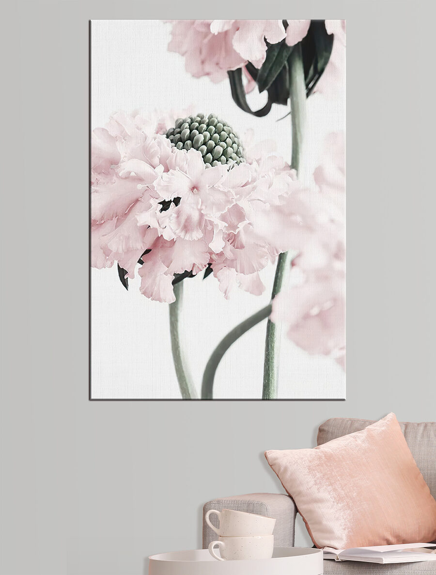 Roze bloei in close-up — interieur 2