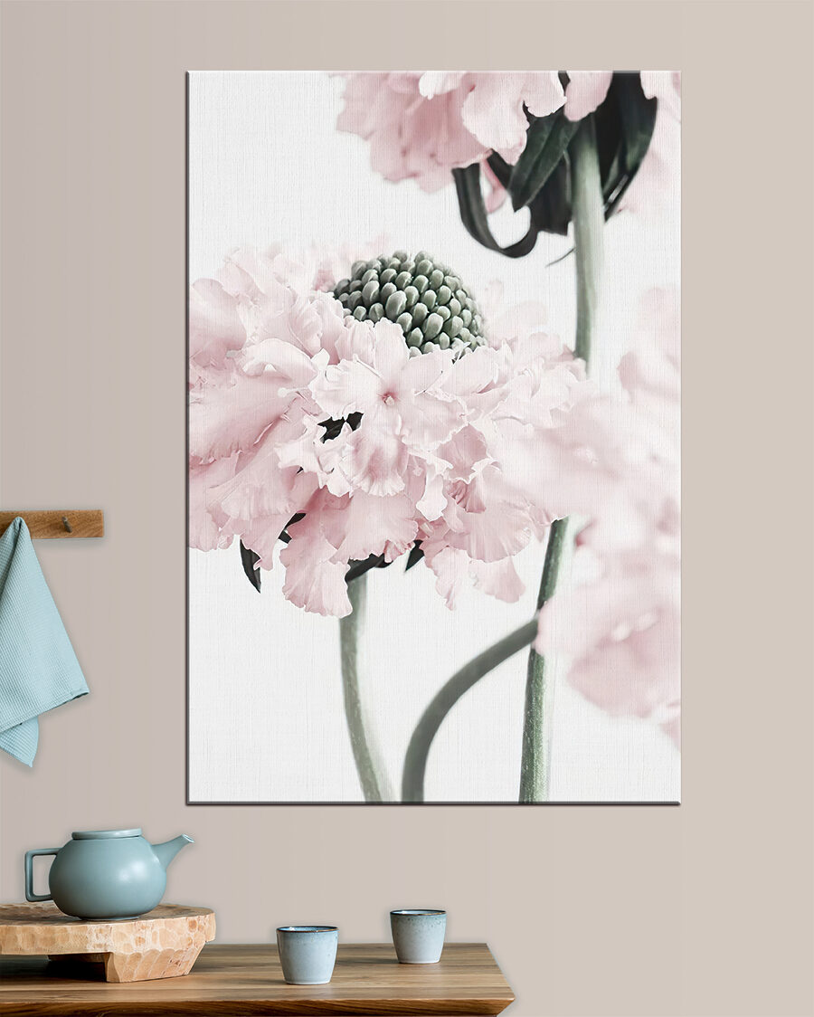 Roze bloei in close-up — interieur 1