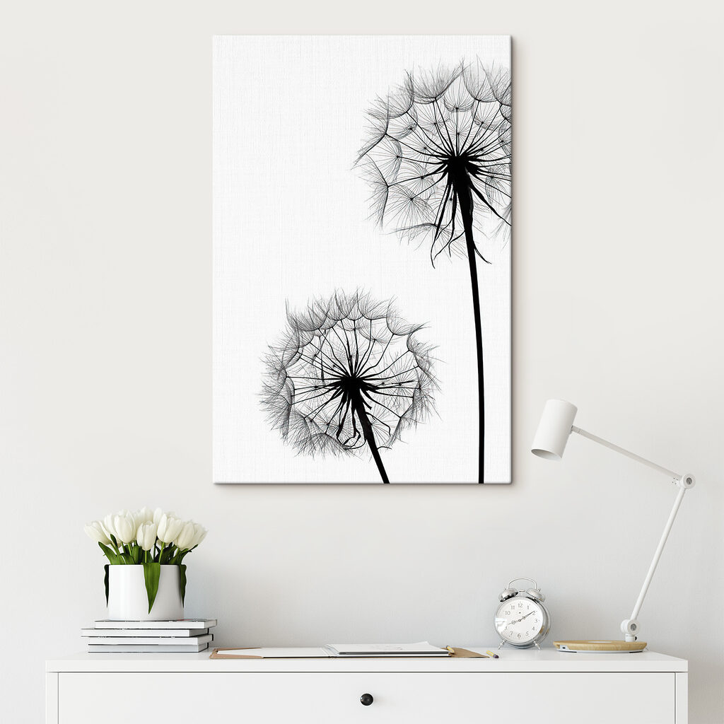 Zaadpluis tegen wit — interieur 1