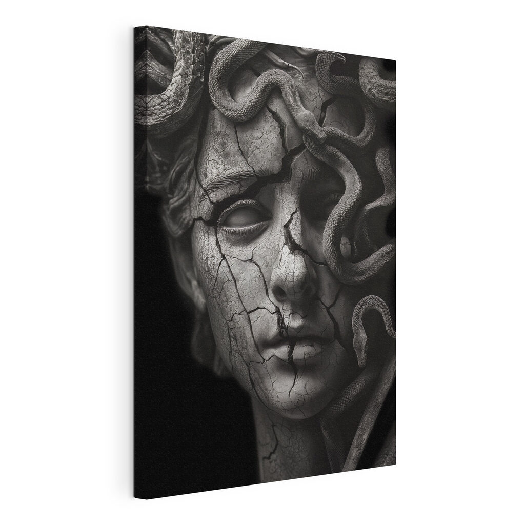 Medusa in de schaduw — productweergave