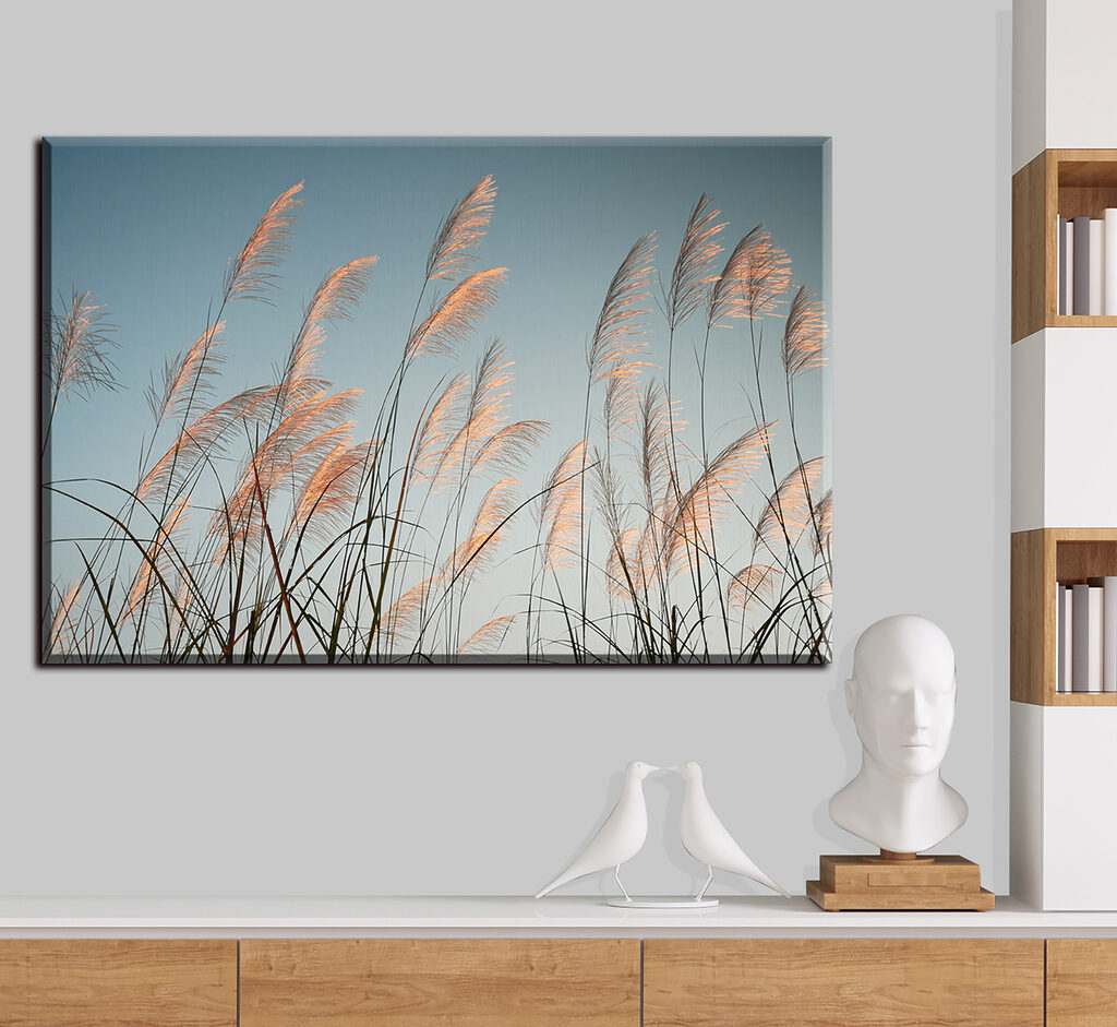 Een windvlaag door pluimen — interieur 1
