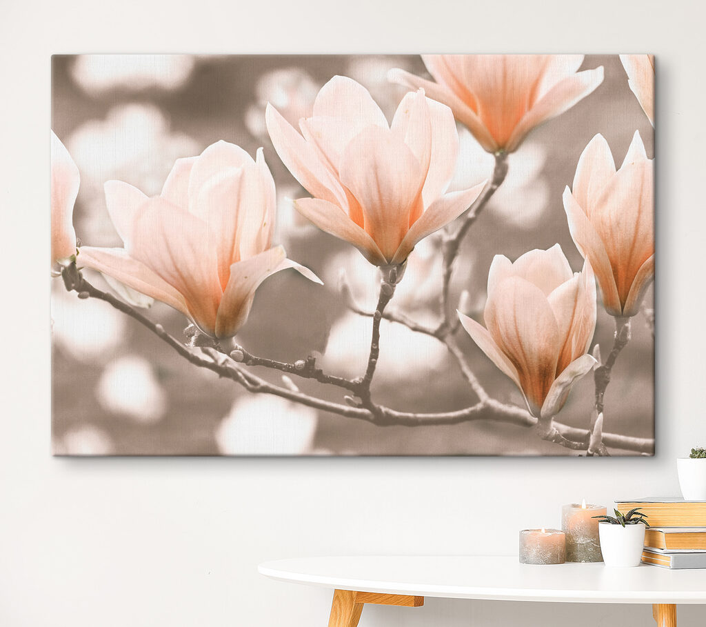 Bloesem langs zachte takken — interieur 3