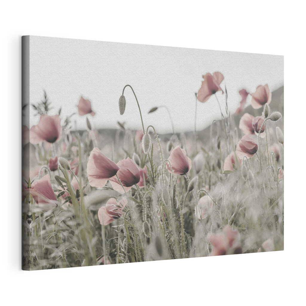 Klaprozen in verstild roze, gespannen canvas met doorlopende rand