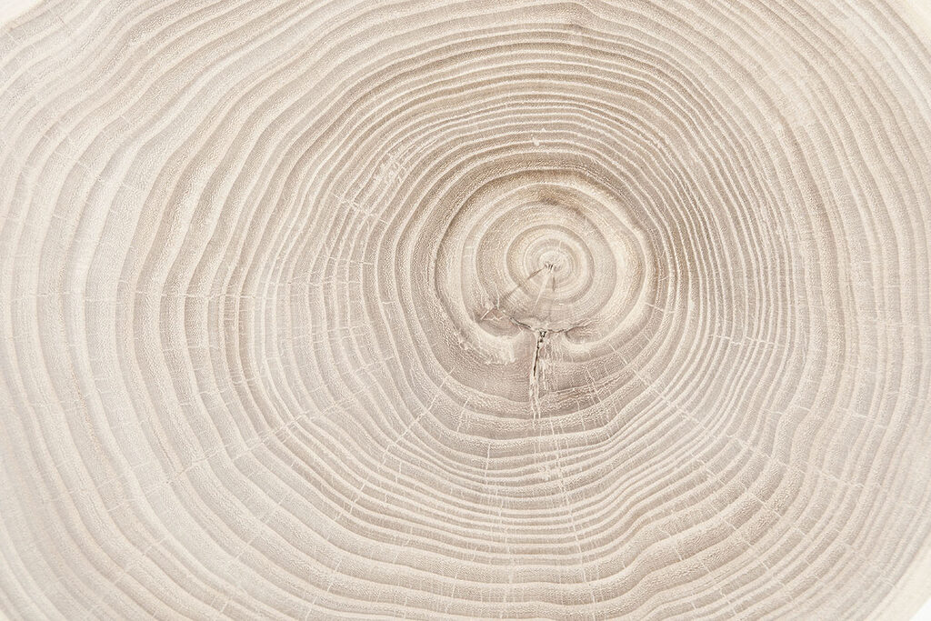Jaarringen van dichtbij — volledig ontwerp