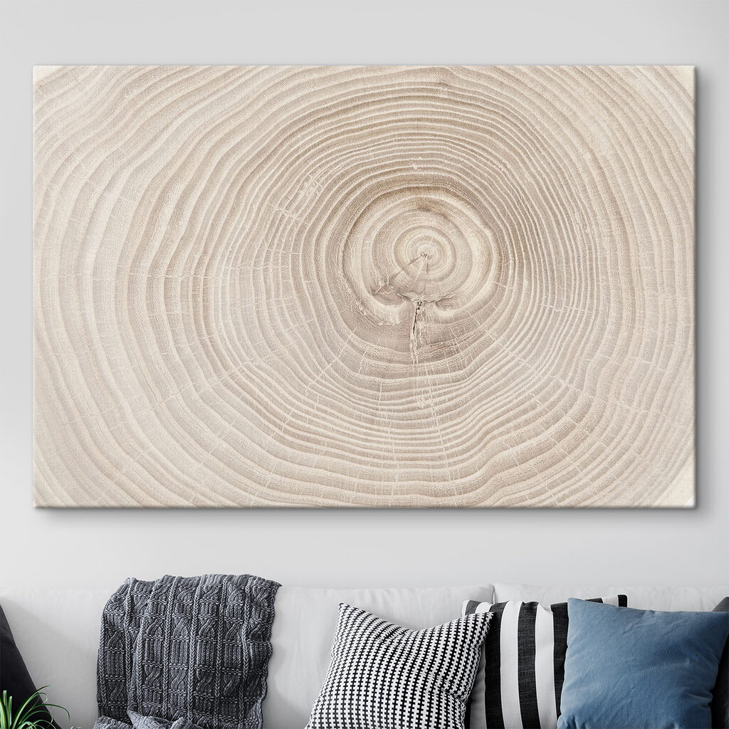 Jaarringen van dichtbij — interieur 2