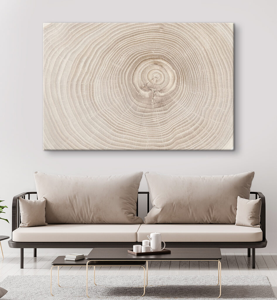 Jaarringen van dichtbij — interieur 3