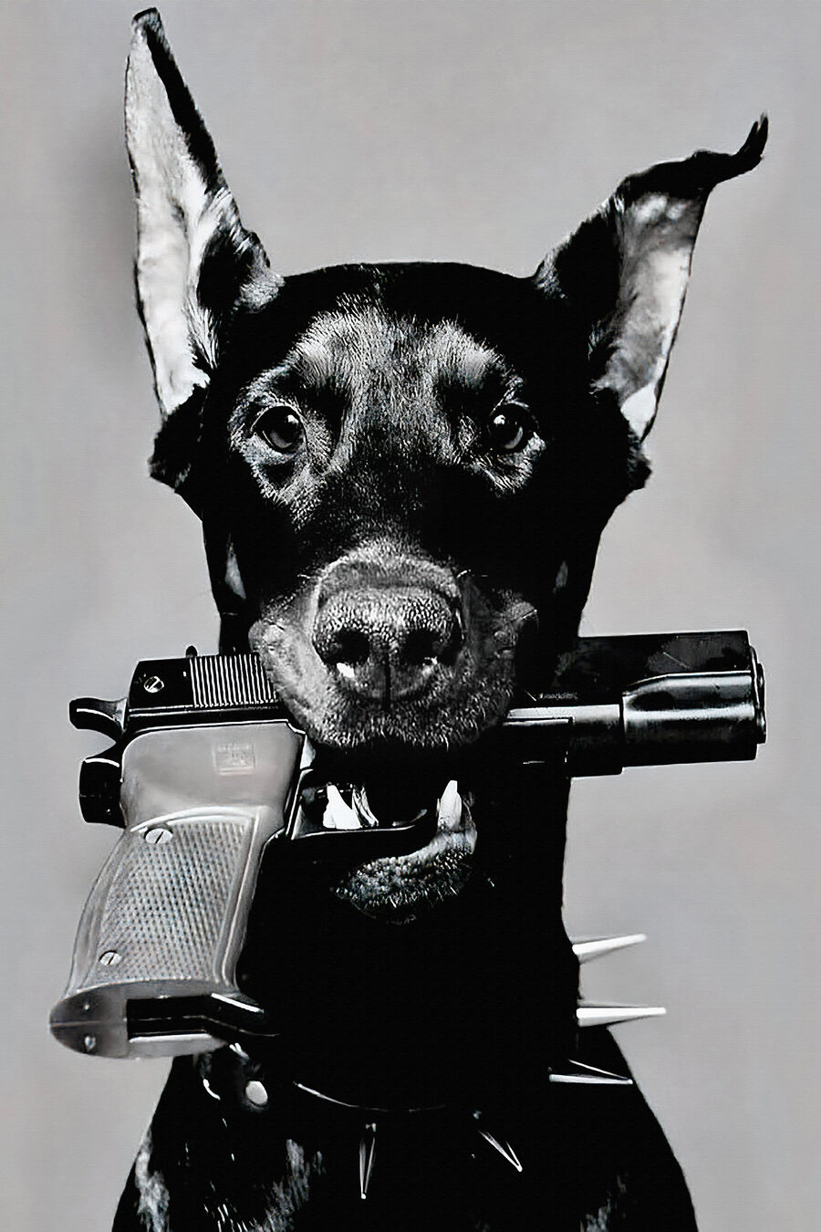 Hond met een pistool — volledig ontwerp