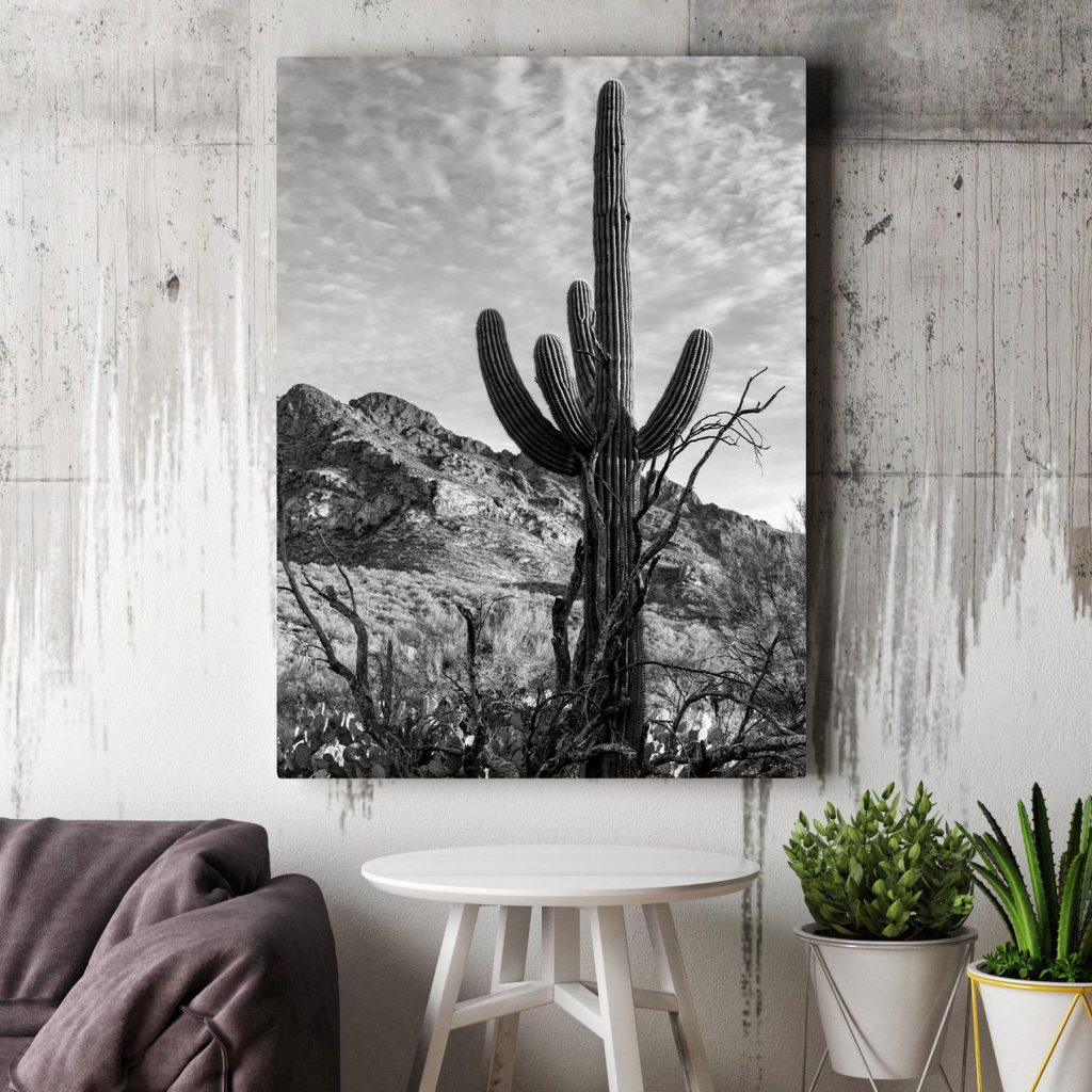Cactus onder hoge wolken — interieur 2