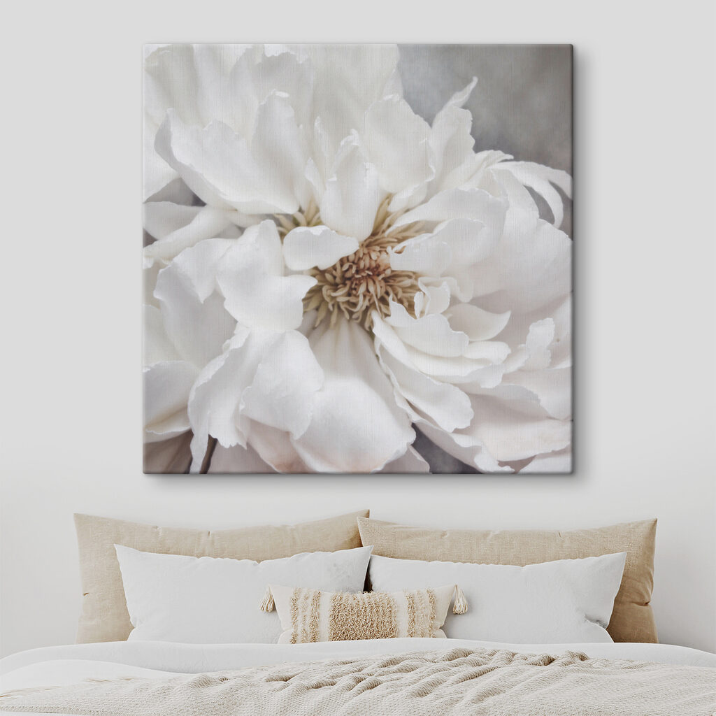 Pioenroos in roomwit — interieur 2