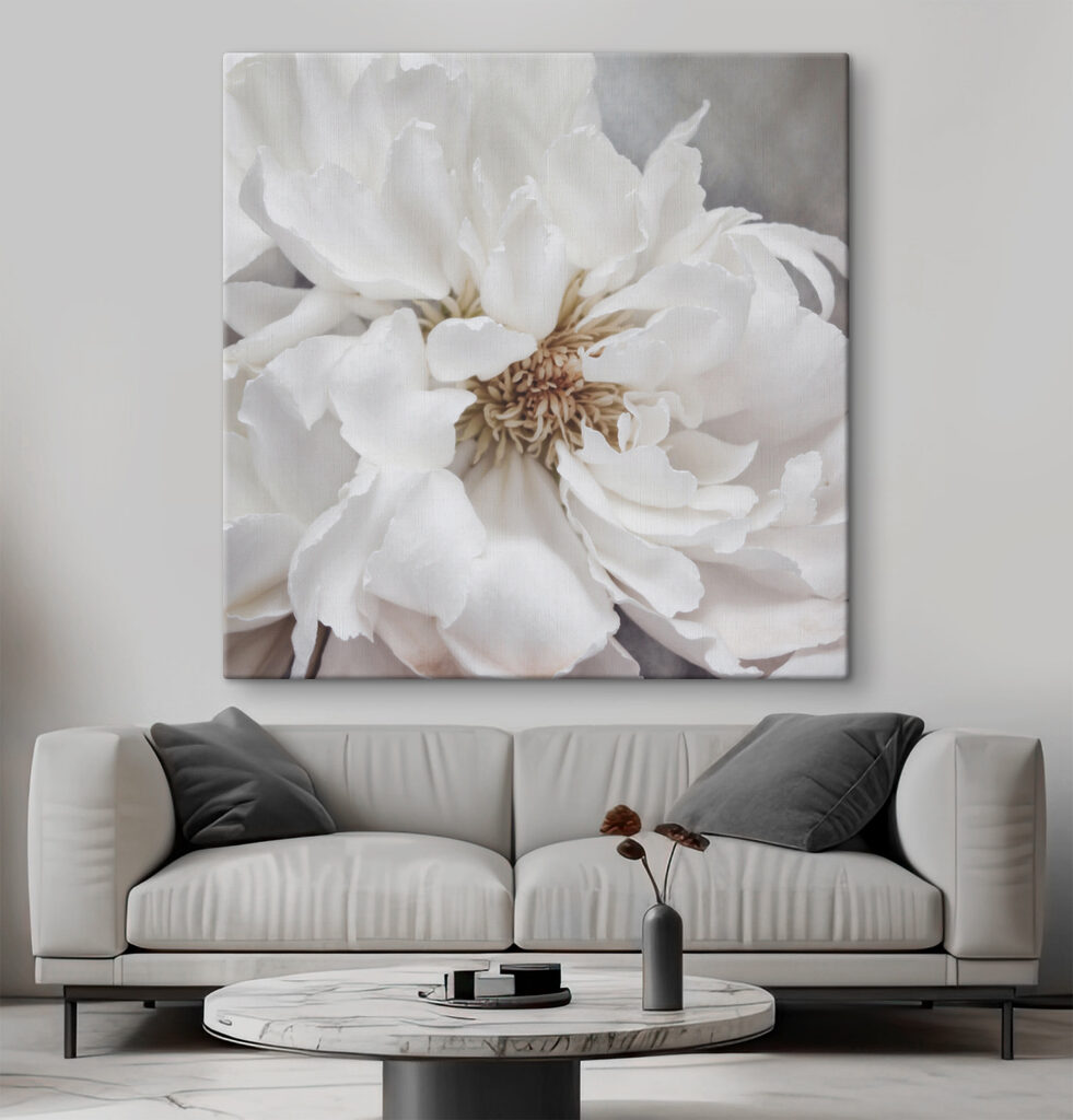 Pioenroos in roomwit — interieur 3