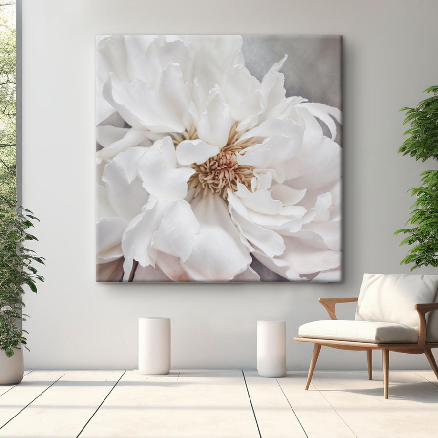 Pioenroos in roomwit — interieur 1