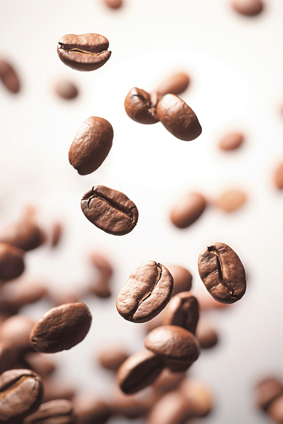 Koffiebonen in vrije vlucht — volledig ontwerp