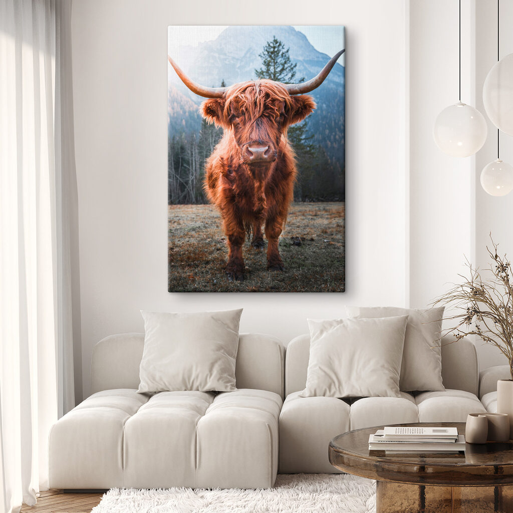 Een hooglander kijkt terug — interieur 2