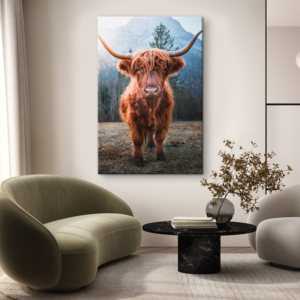 Een hooglander kijkt terug — interieur 3
