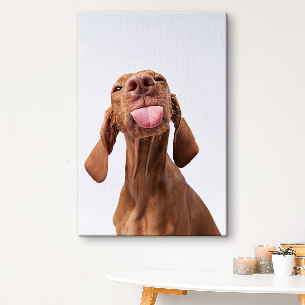 Hond met uitgestoken tong — interieur 1