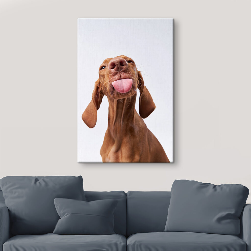 Hond met uitgestoken tong — interieur 2