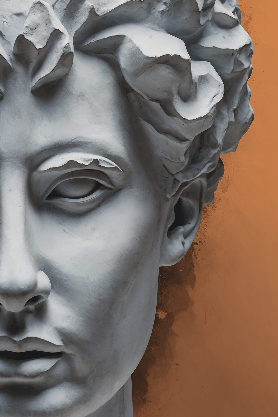 Een blik naast oranje — volledig ontwerp