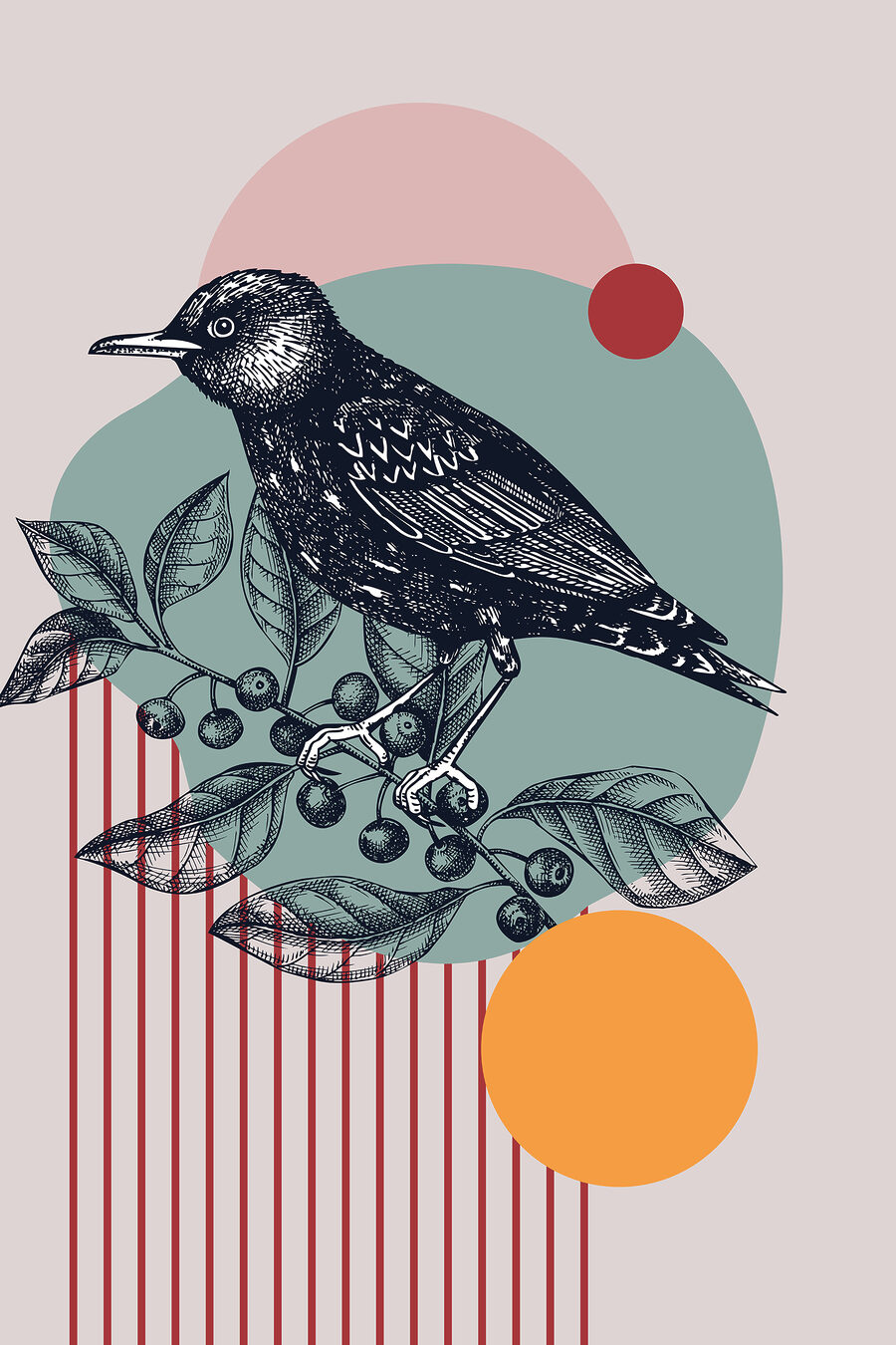 Zwarte vogel tussen cirkels — volledig ontwerp