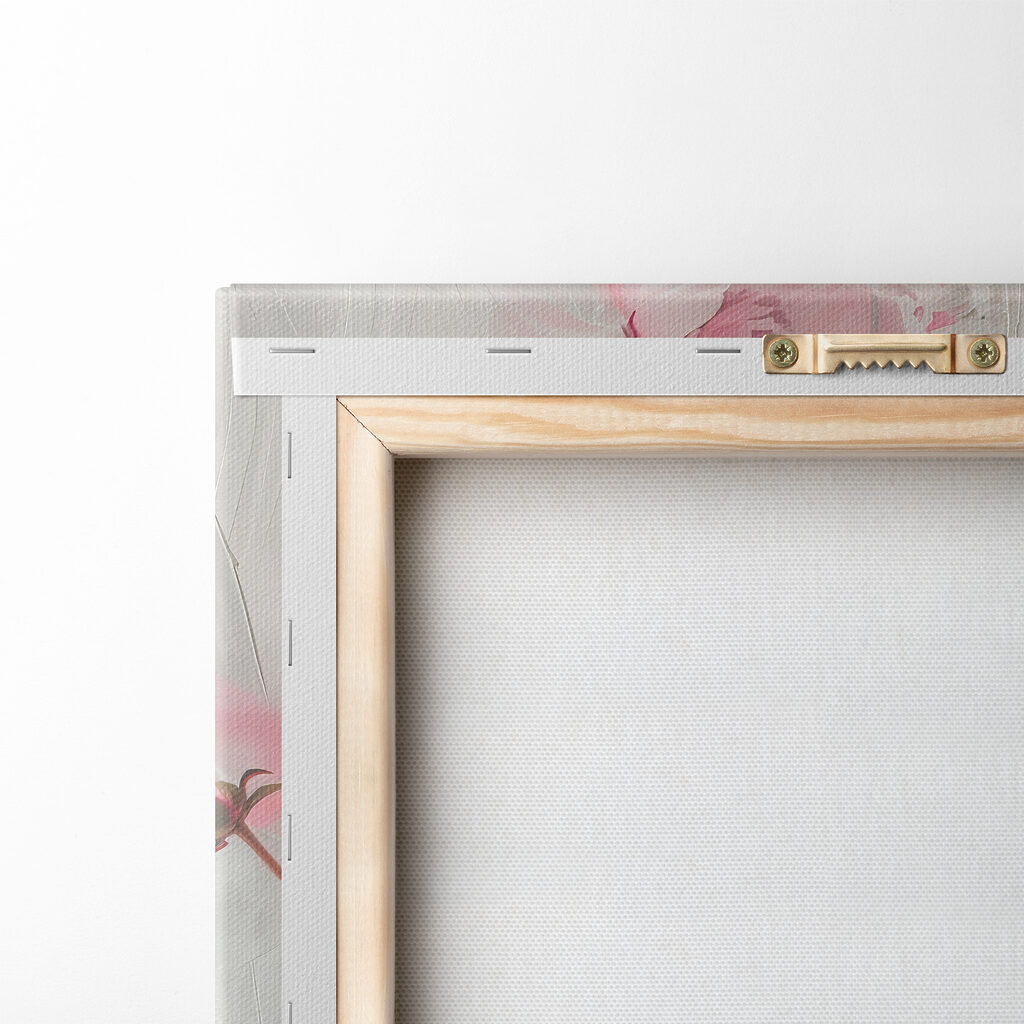 Pioenrozen in roze nevel — achterkant