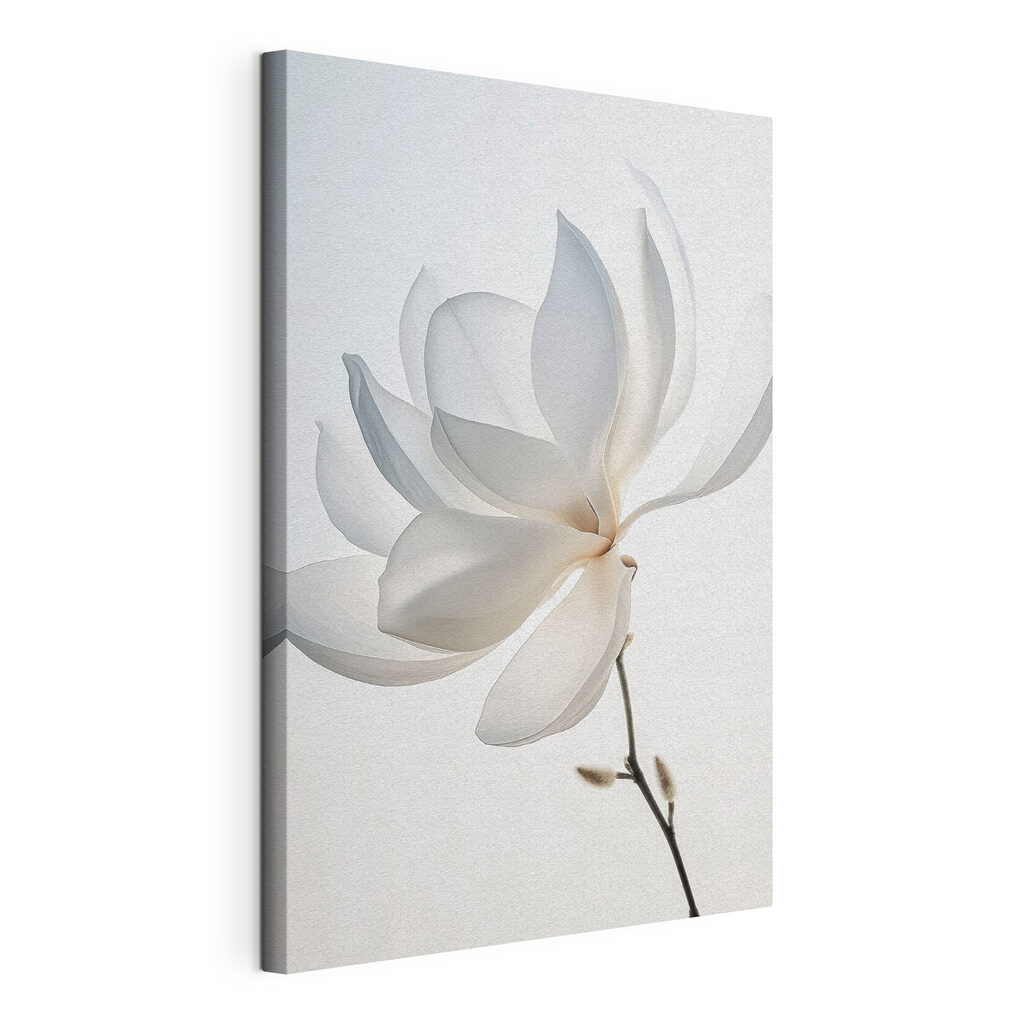 Licht gebogen witte magnolia, gespannen canvas met doorlopende rand