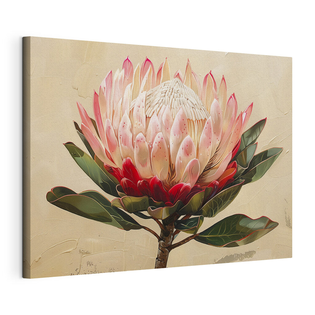 Protea opent haar kroon — productweergave