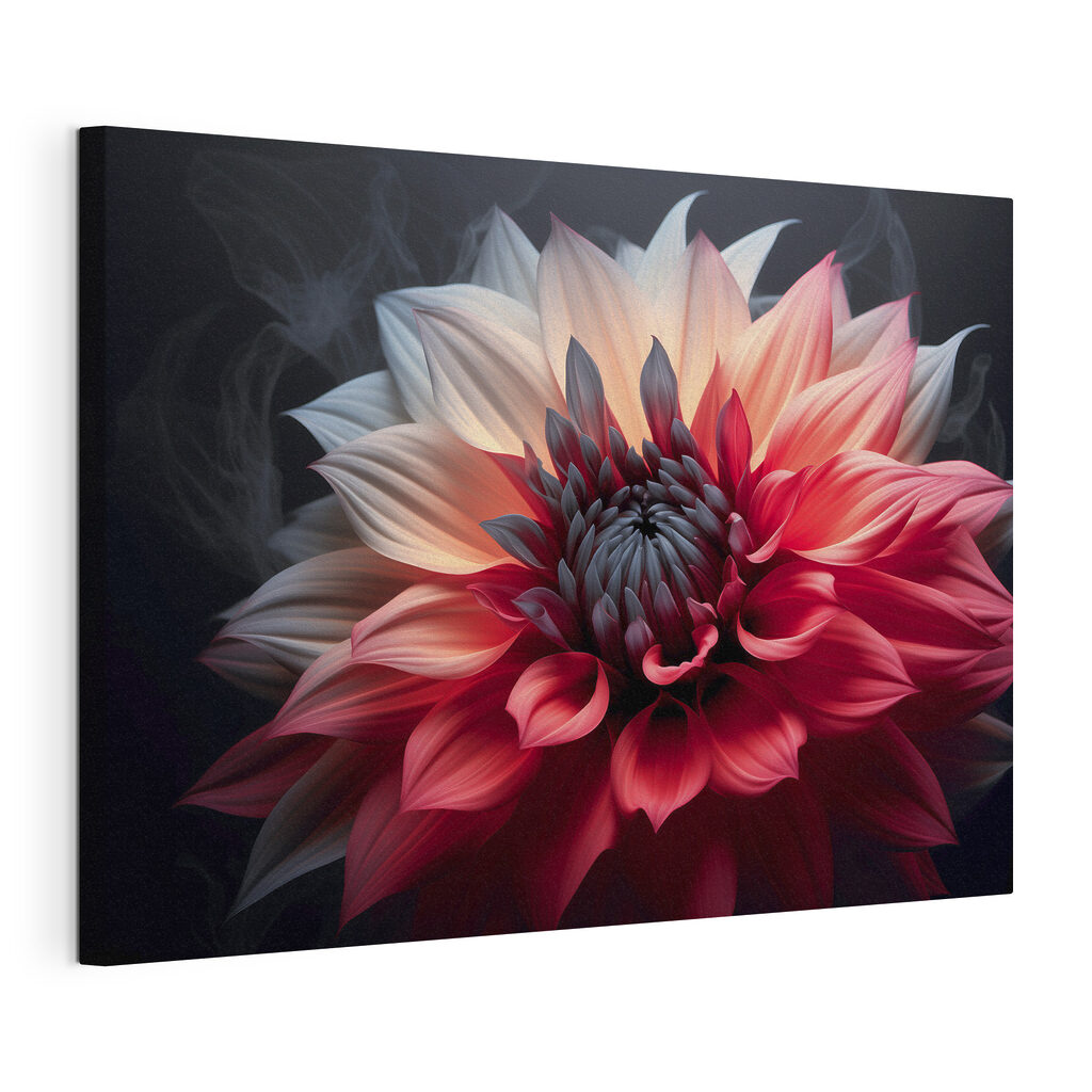 Dahlia in twee kleuren, gespannen canvas met doorlopende rand