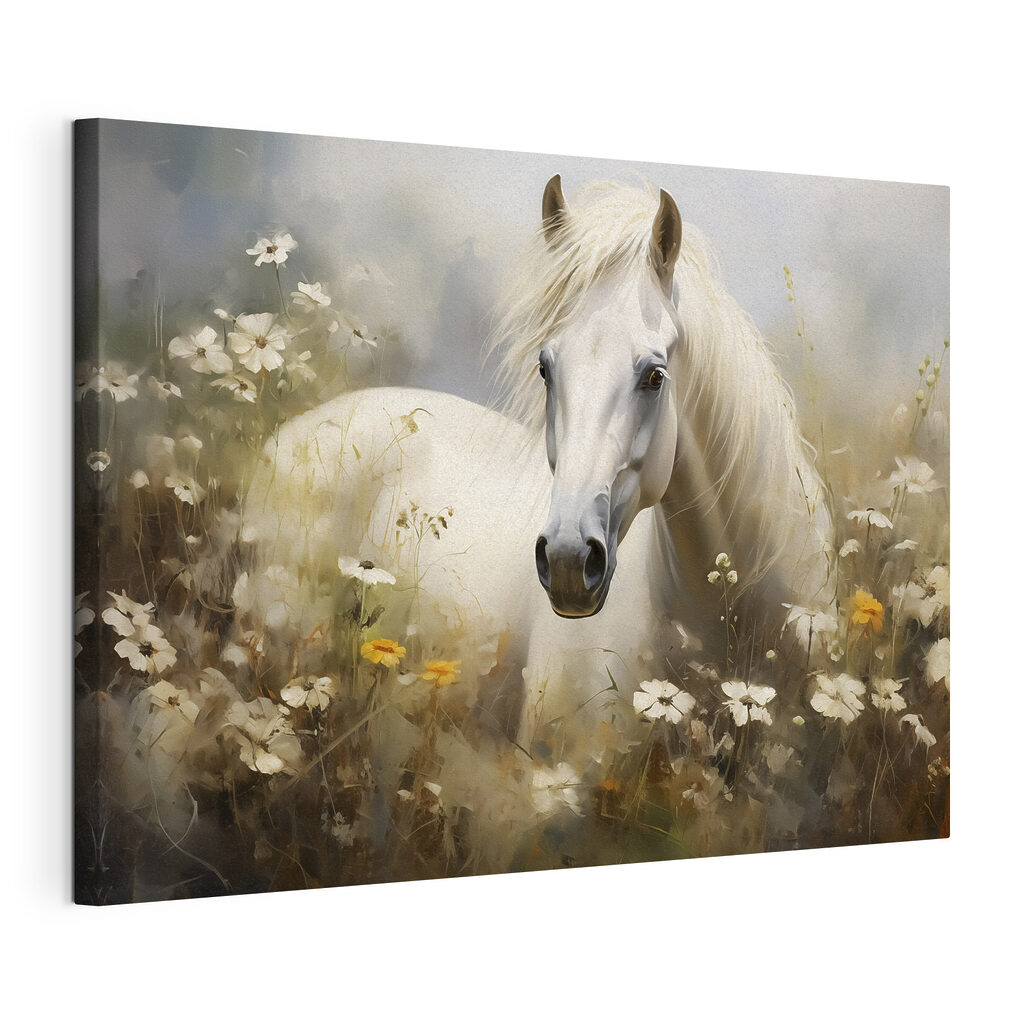 Een schimmel tussen margrieten, gespannen canvas met doorlopende rand
