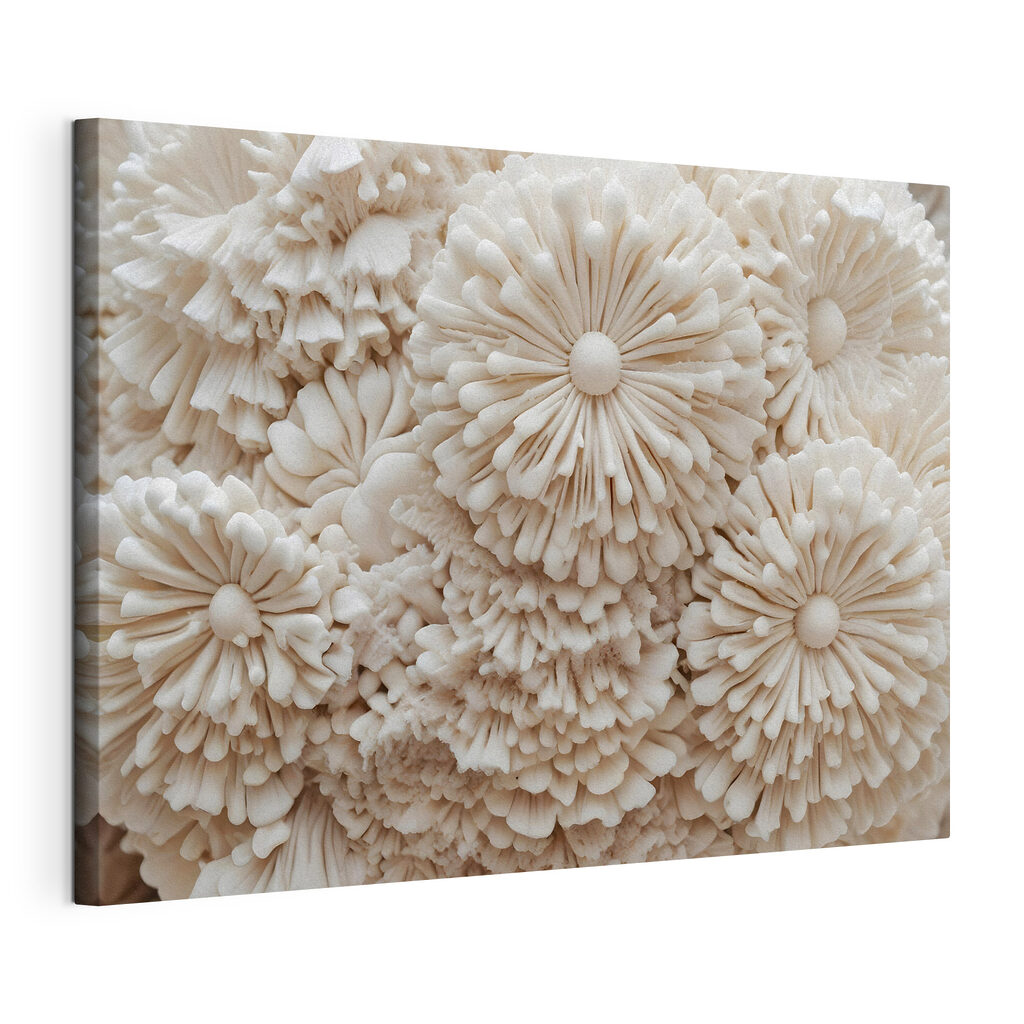 Witte bloemen als rozetten — productweergave