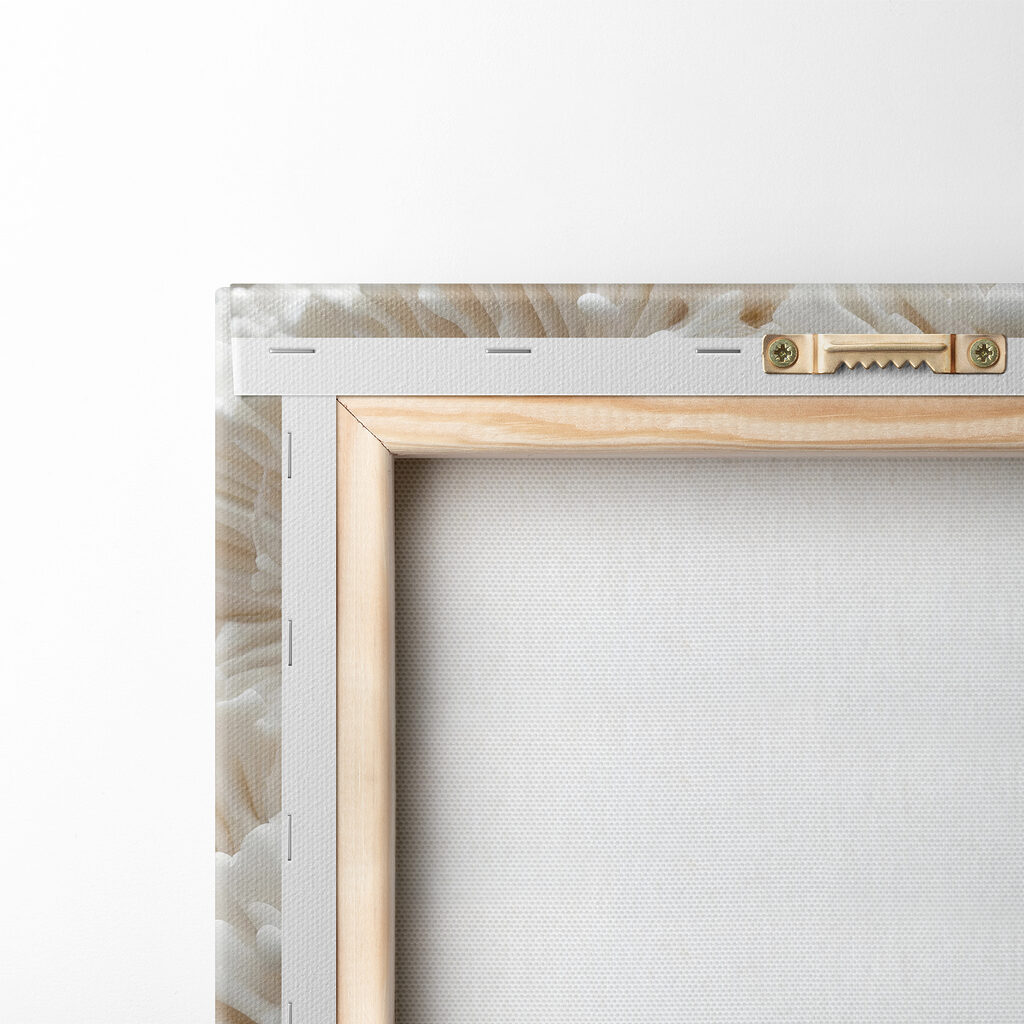 Witte bloemen als rozetten — achterkant